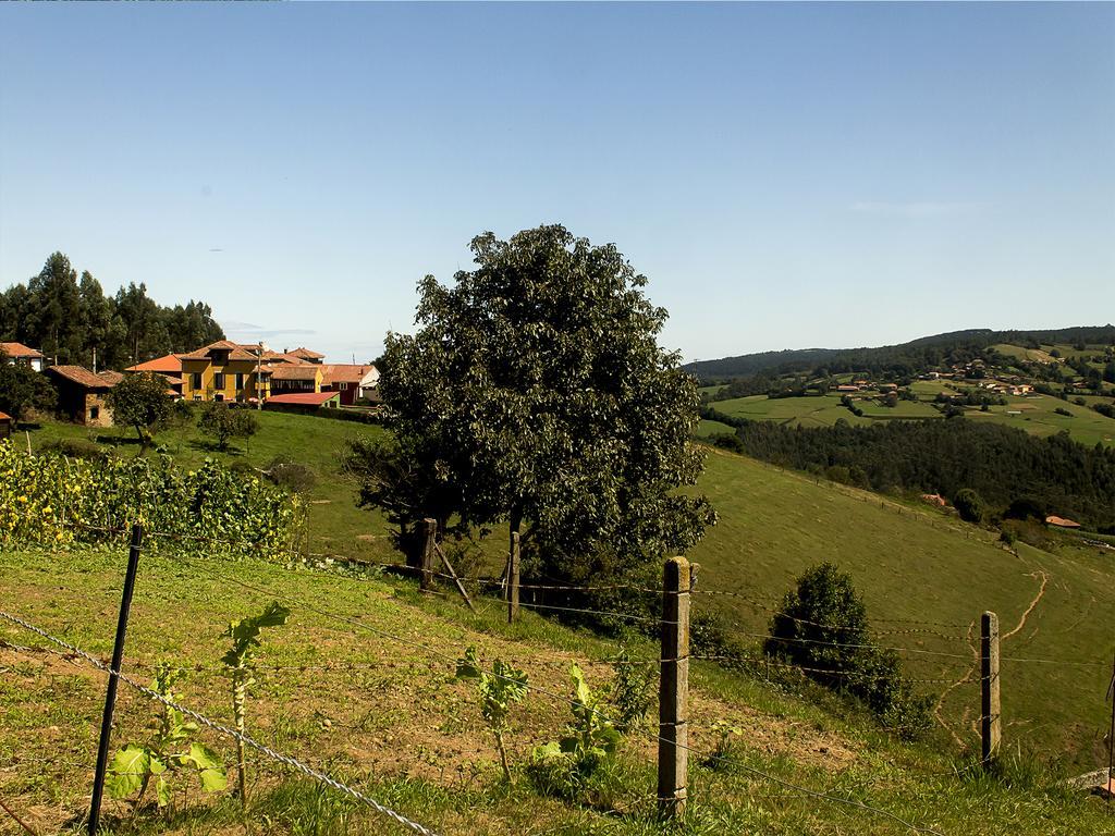 فندق La Casona De Faedo Pension المظهر الخارجي الصورة